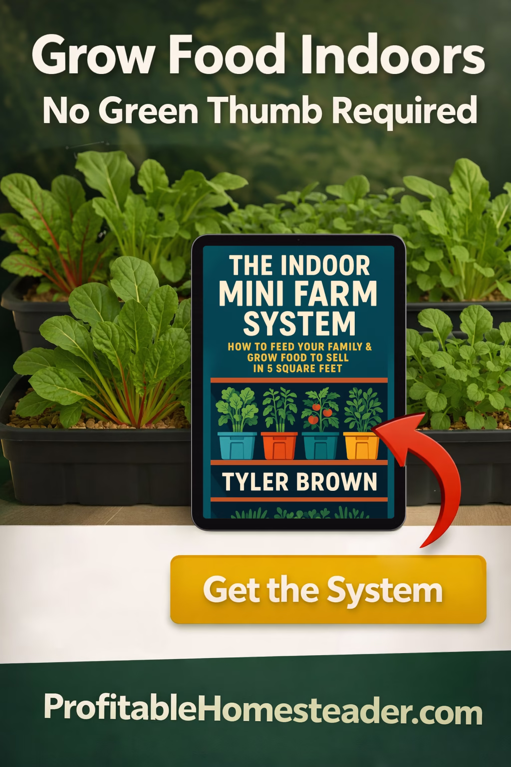 Grow food indoors, no green thumb required.